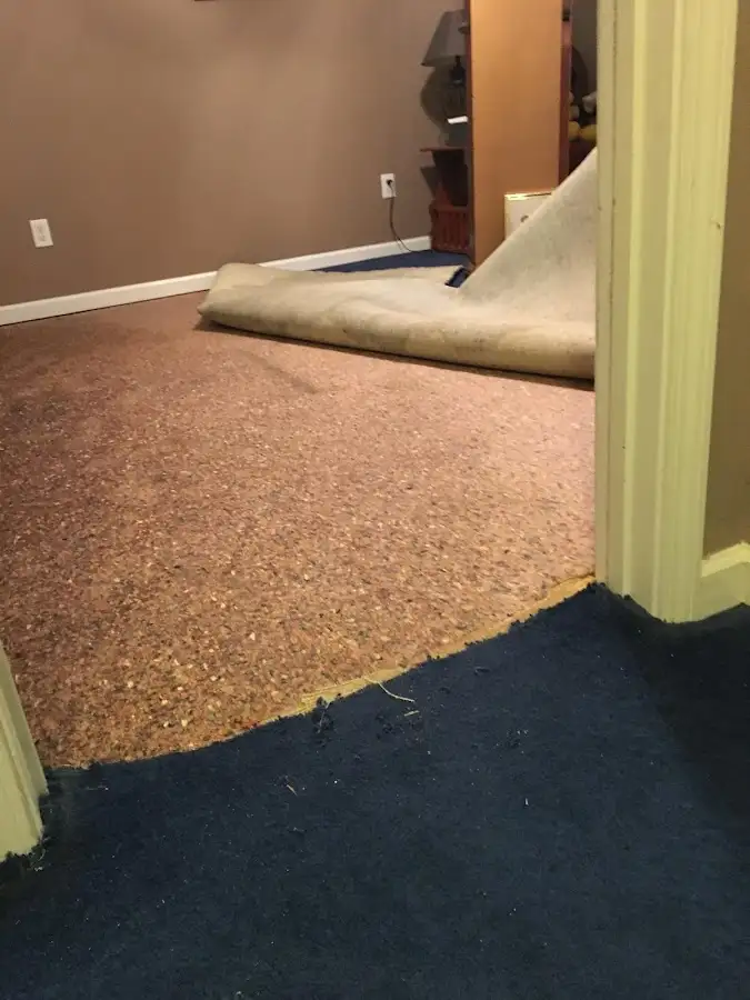 Carpet pad removal revealing water damage during Water Mitigation Services in West View