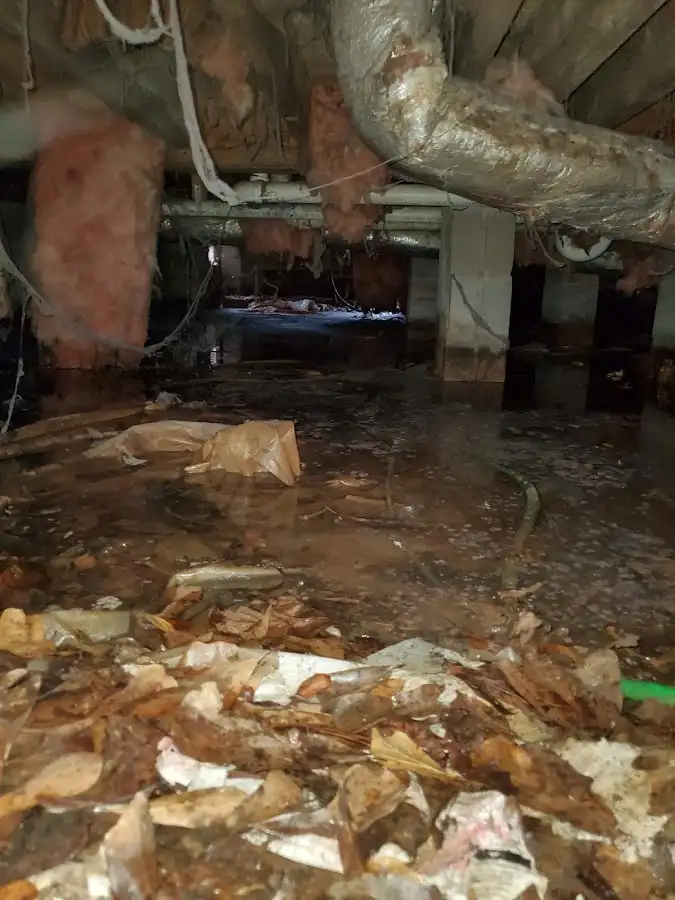 Crawl space flood assessment for Commercial Water Damage Restoration in West View
