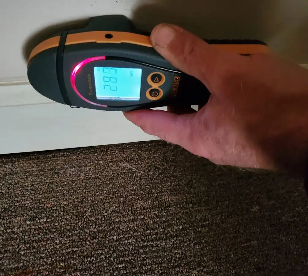 Moisture detection at baseboard during Sewage Cleanup & Sanitation in West View